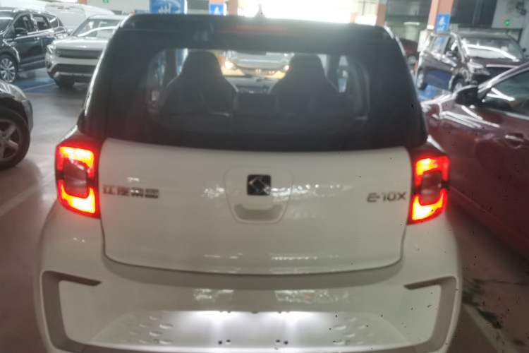 Used SOL E10X 2022 Flower Fairy Design Four-Leaf Clover