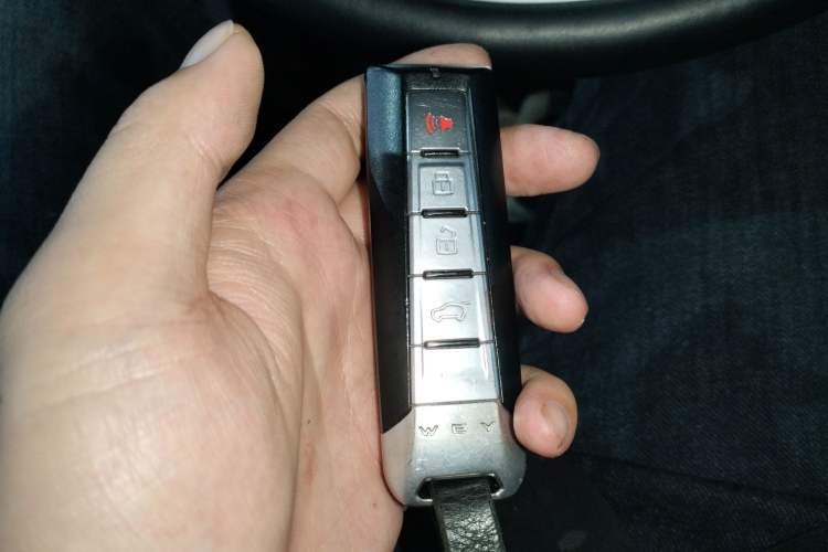 Used Tank 300 2021 Off-Road Edition 2.0T Conqueror