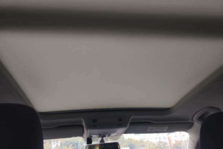 Used Volkswagen Tayron 2019 330TSI Two-Wheel Drive Luxury Model China VI Standard Headliner