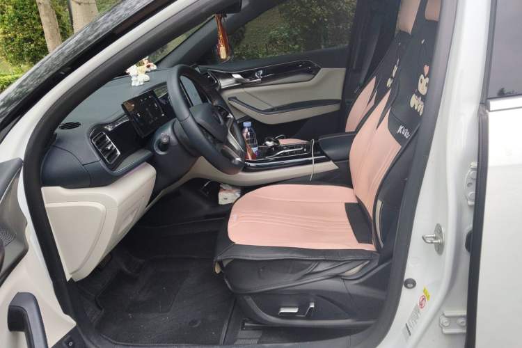 Used BYD Qin PLUS 2023 Champion Edition DM-i 120KM Excellence Model Left Front Seat