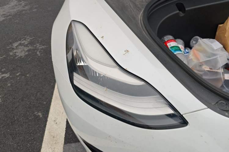 Used Tesla Model 3 2020 Standard Range Rear-Wheel Drive Upgraded Version
