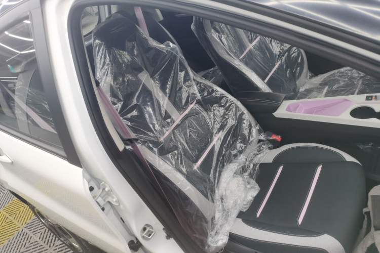 Used SOL E10X 2023 Anniversary Edition 306km Lavender 30kW Right Front Seat