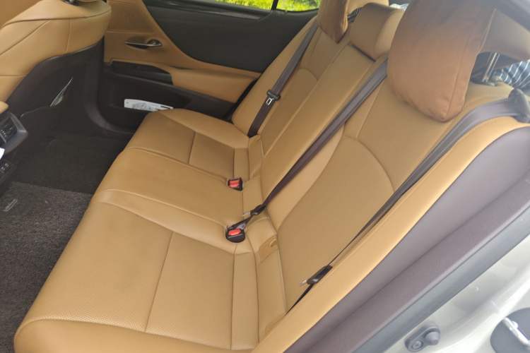 Used Lexus ES 2020 260 Excellence Edition Left Rear Seat