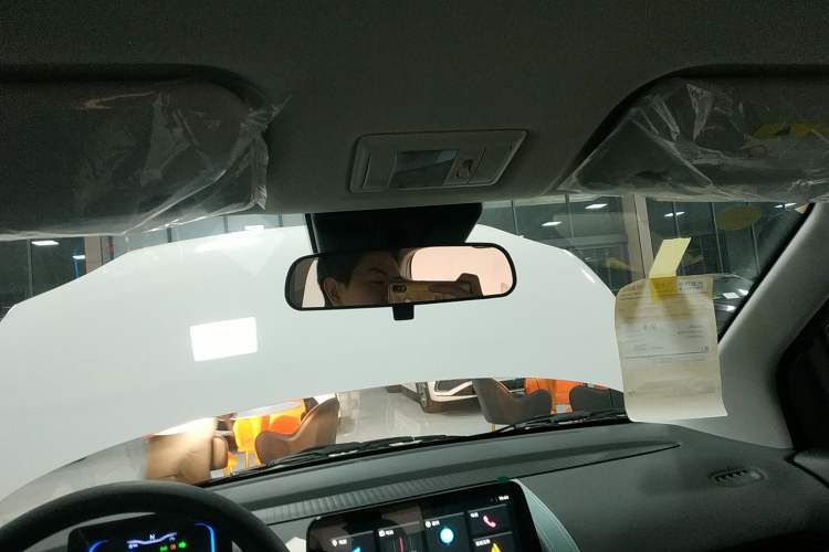 Used Qiyuan Lumin 2025 205 km Xiangqin Version