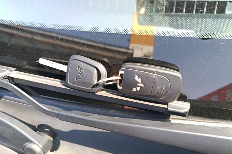 Used Wuling Hongguang MINIEV 2020 Zizai Version Lithium-NMC
