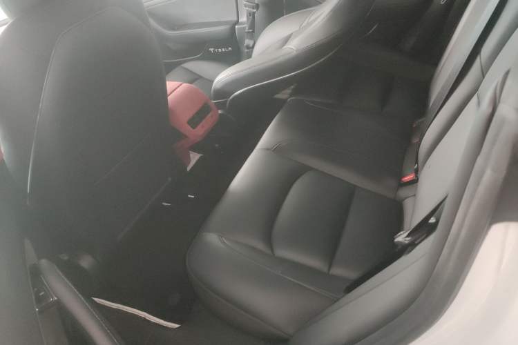Used Tesla Model 3 2020 Revised Version Standard Range Rear-Wheel Drive – Upgraded Edition Left Rear Seat