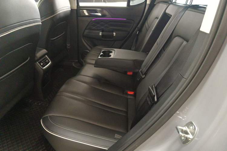 Used Tank 300 2021 Off-Road Edition 2.0T Conqueror