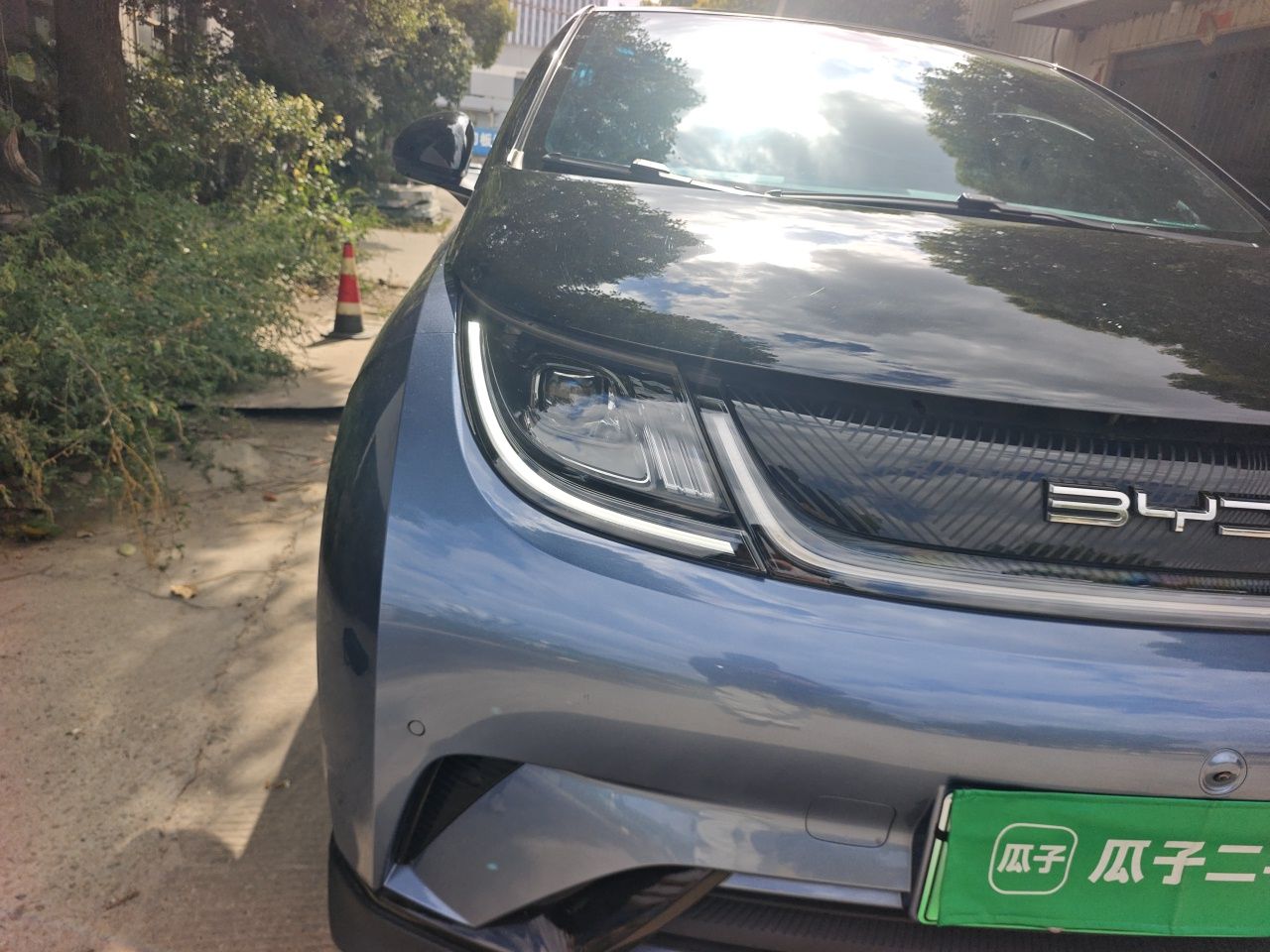 BYD Dolphin 2023 401km Knight Edition — снимка 7