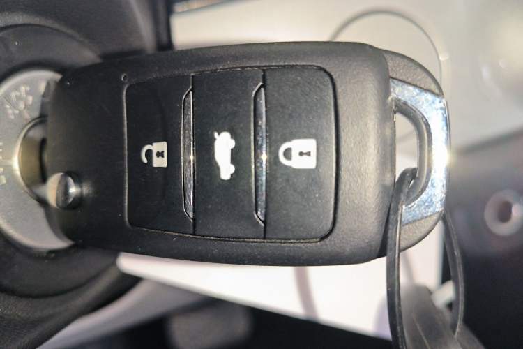 Used Qiyuan Lumin 2025 205 km Xiangqin Version