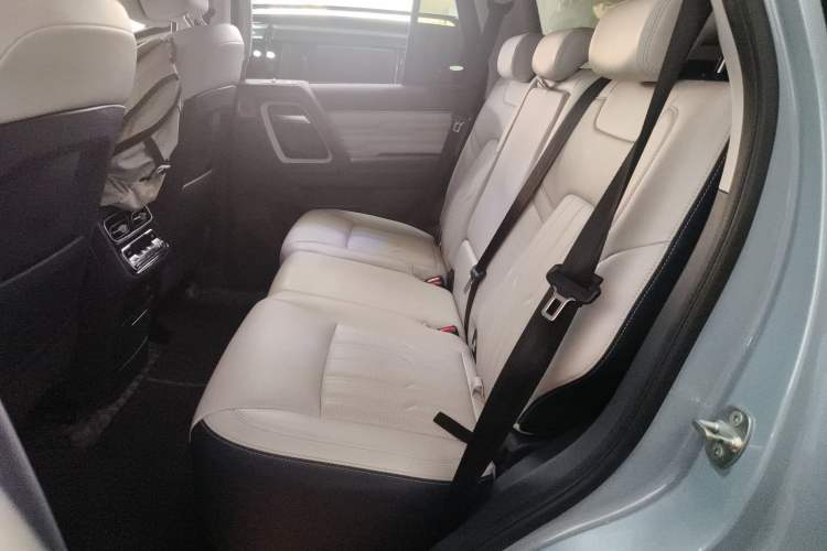 Used BAIC Off-Road BJ60 2022 2.0T Version 11 Five Seats
