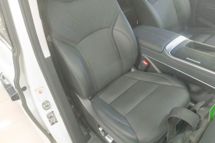 Used Wey Gaoshan 2023 Four-Wheel Drive Flagship Edition
