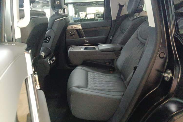 Used Brave warrior 917 2023 Range-Extended Base Model Left Rear Seat