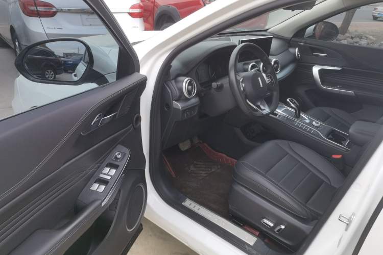 Used Wey VV5 2020 1.5T Two-Wheel Drive Color Pioneer Driver Seat