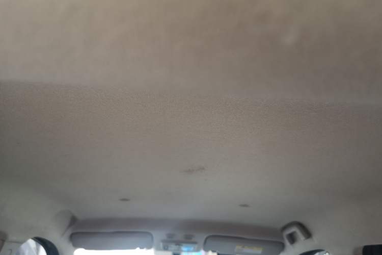 Used ORA Black Cat 2021 301 km Basic Version Headliner