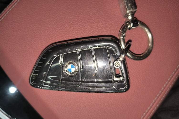 Used BMW 3 Series 2021 Second Facelift 320Li M Sport Package Vehicle Key