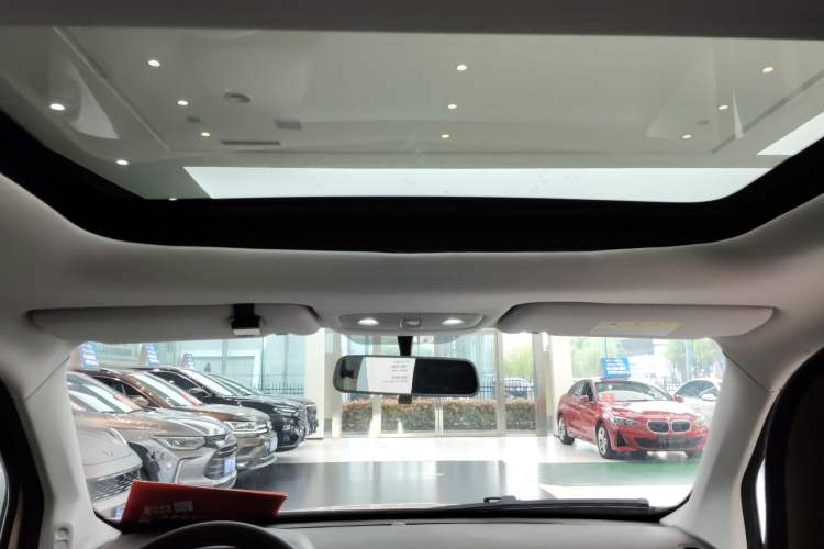 Used Leapmotor T03 2022 YAOJIN Edition Headliner