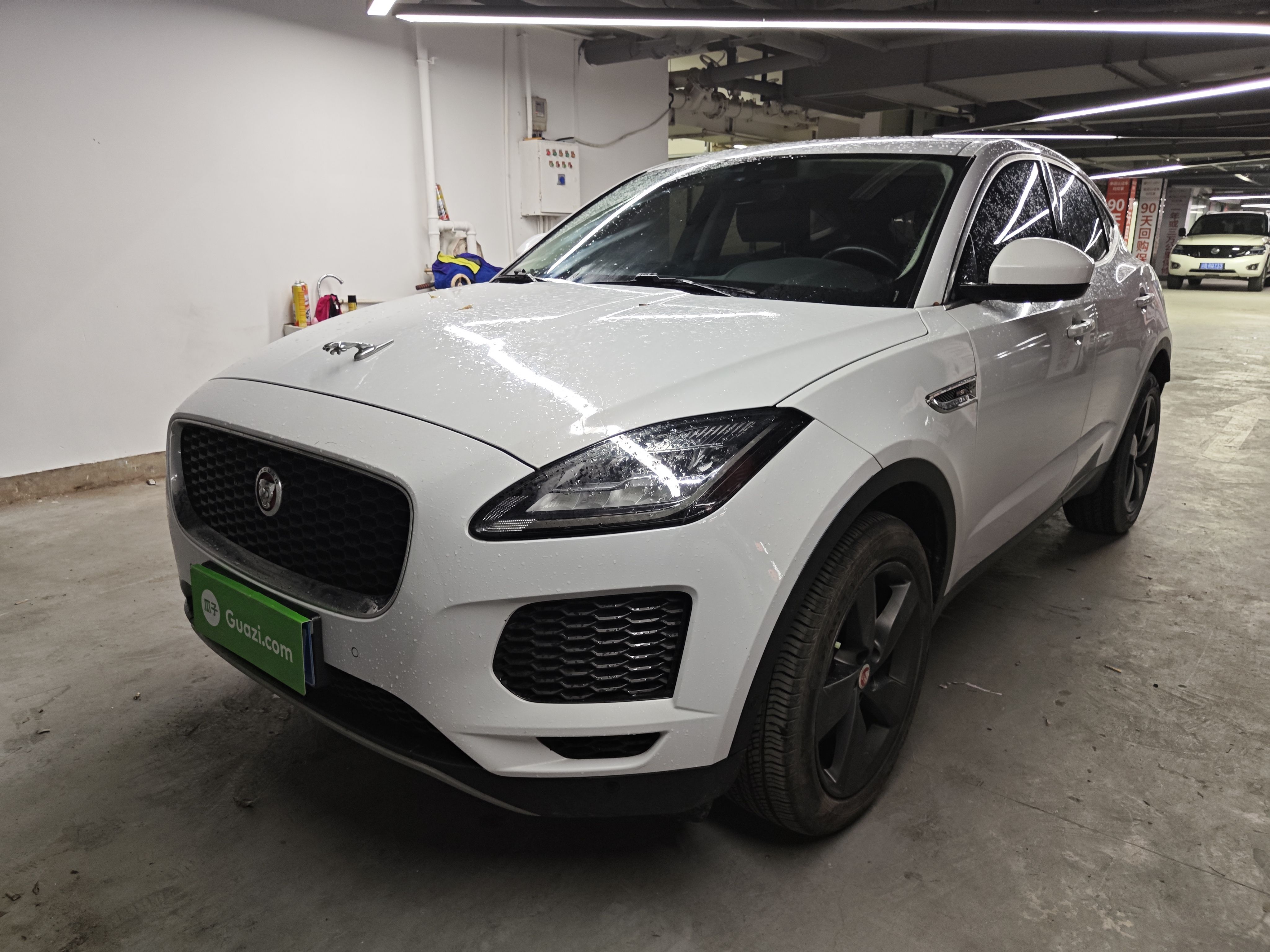 Parte inferior delantera