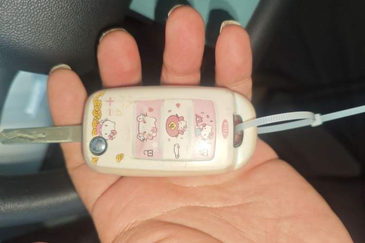 Used CHANGAN NEVO Lumin 2025 205 km Xiangqin Version Vehicle Key