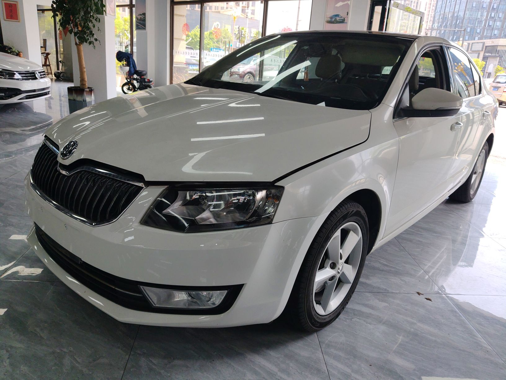 Parte inferior delantera