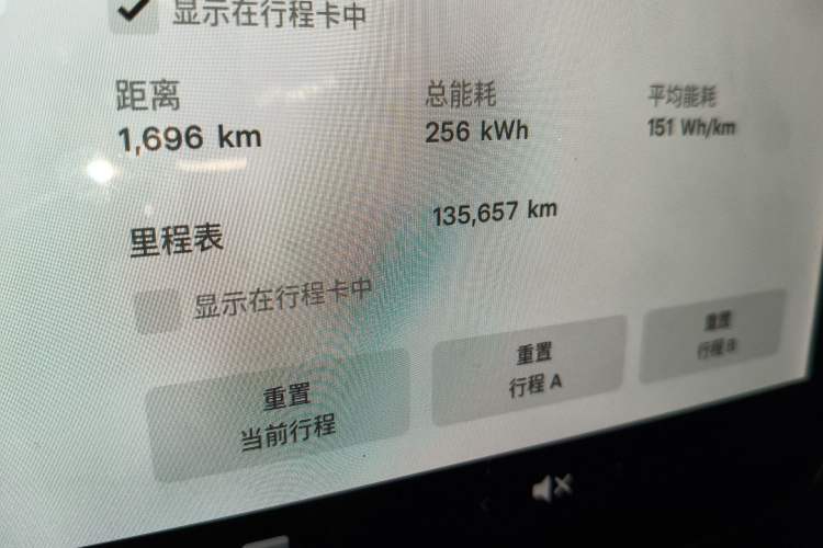 Used Tesla Model 3 2020 Revised Version Standard Range Rear-Wheel Drive – Upgraded Edition
