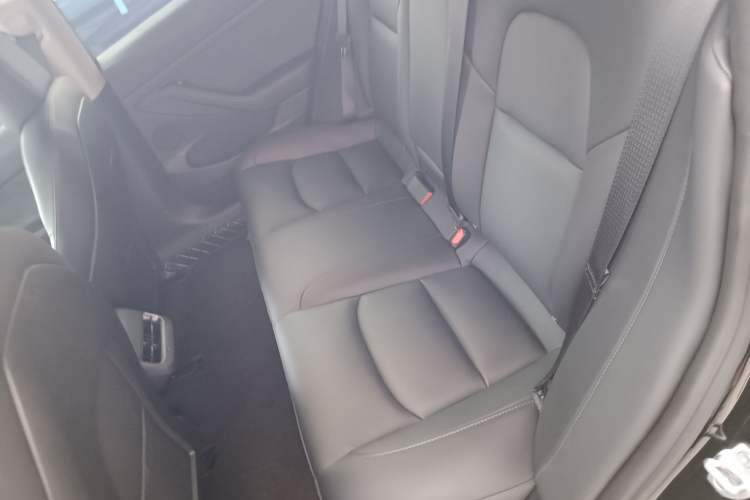 Used Tesla Model 3 2022 Rear-Wheel-Drive Version Left Rear Seat