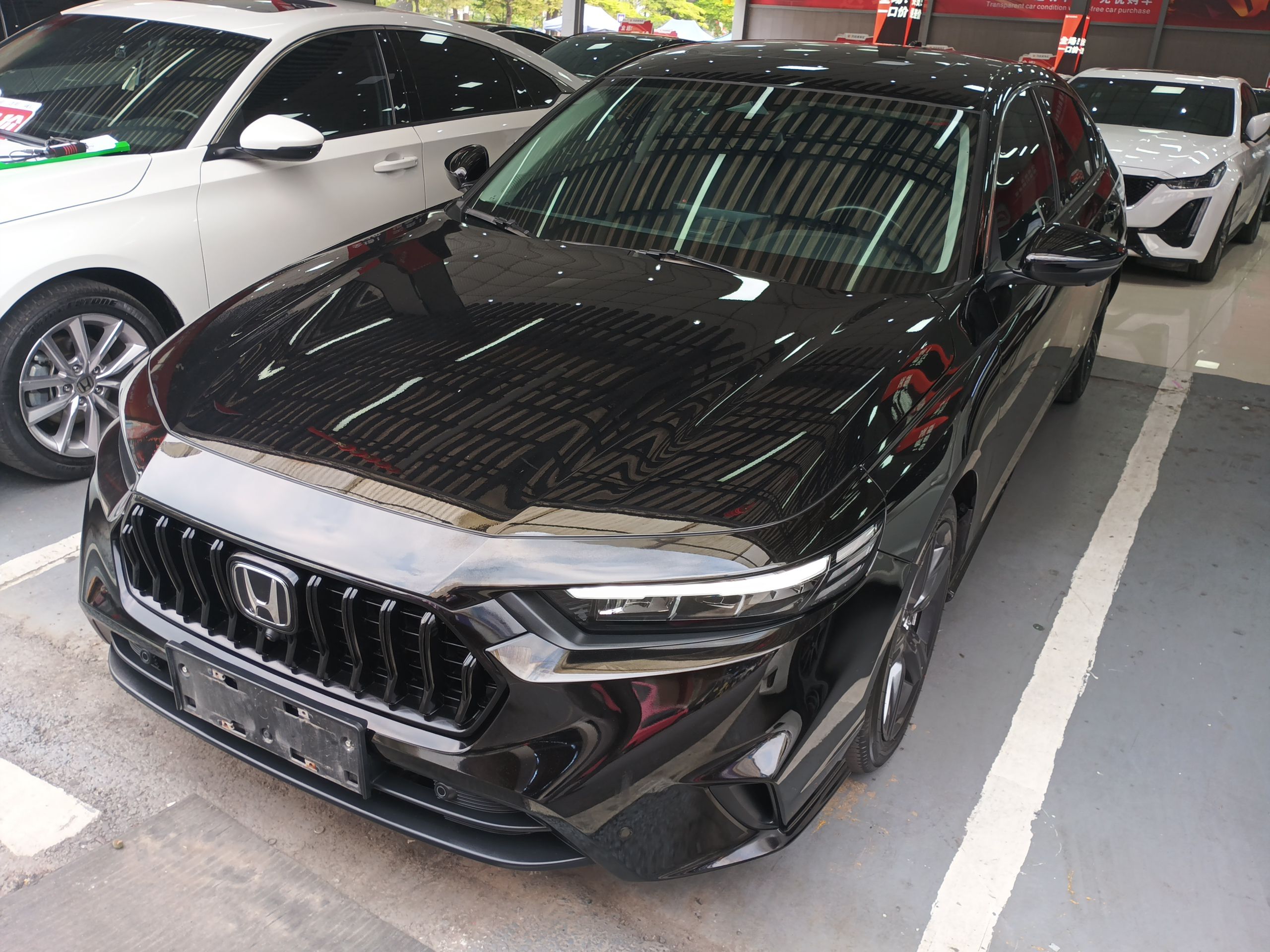 Parte inferior delantera