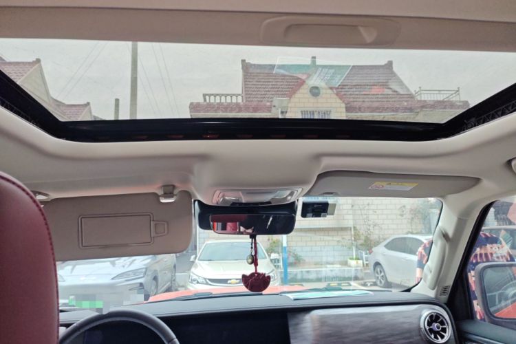 Used Tank 300 2024 2.0T Conqueror
