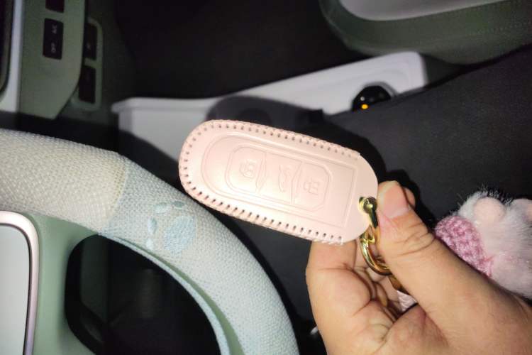 Used Geely Galaxy Panda 2025 210km Panda Rider