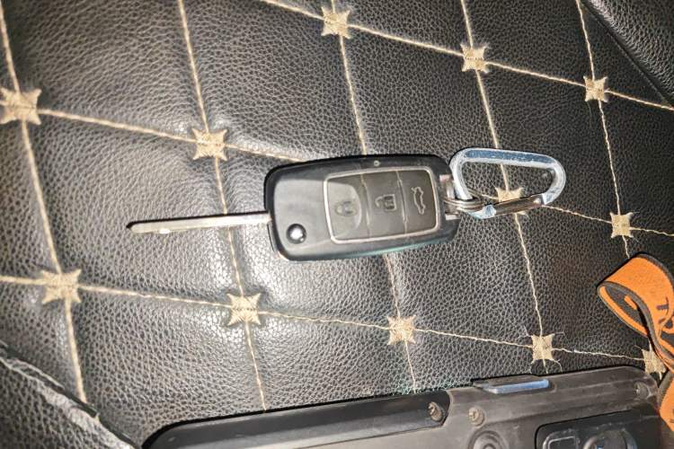 Used FORTHING Lingzhi 2020 M5 1.6L Practical Model