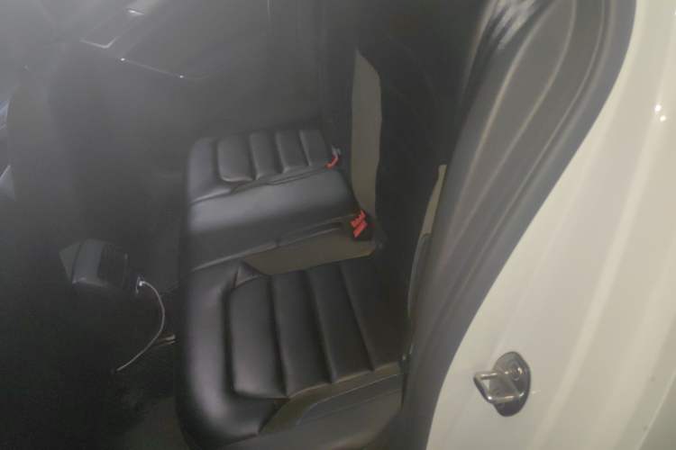 Used Volkswagen Golf Pure Electric 2020 Chari Left Rear Seat