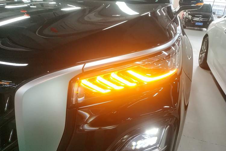 Used Hongqi HS5 2025 2.0T Two-Wheel Drive 600 000-Vehicle Commemorative Edition
