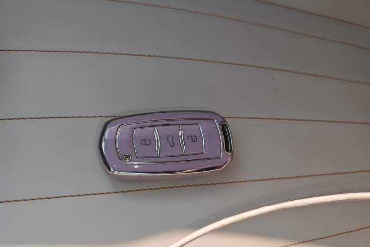 Used Geely Galaxy Panda 2024 Panda Mini 200km Endurance Bear
