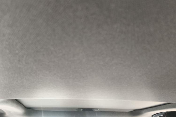 Used Toyota Levin 2021 185T CVT Sport Edition Headliner