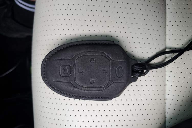 Used GAC Trumpchi E9 2023 E9 Championship Edition
