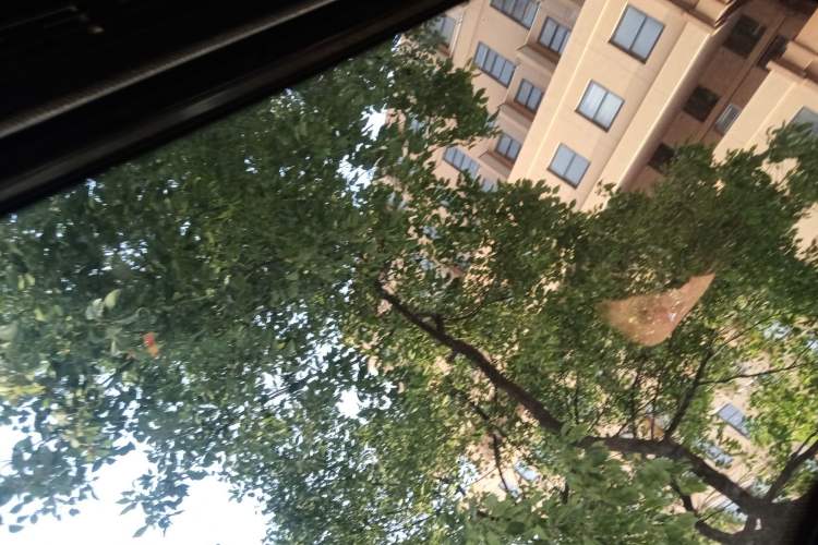 Used BMW 3 Series 2019 320i M Sport Night Edition