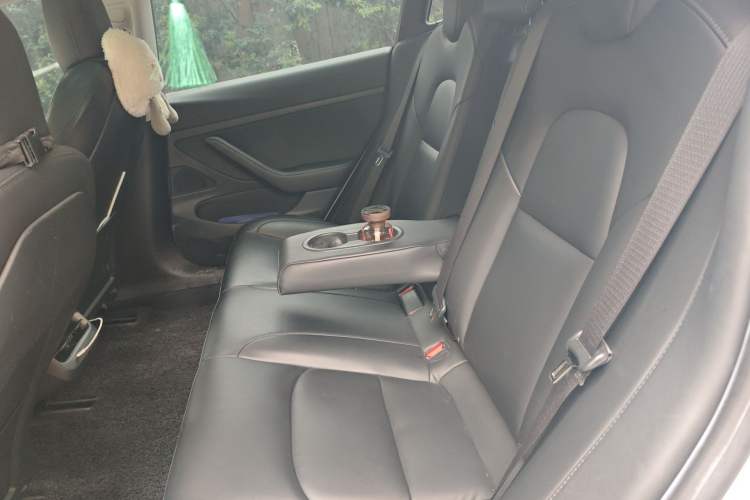 Used Tesla Model 3 2020 Standard Range Rear-Wheel Drive Upgraded Version Left Rear Seat