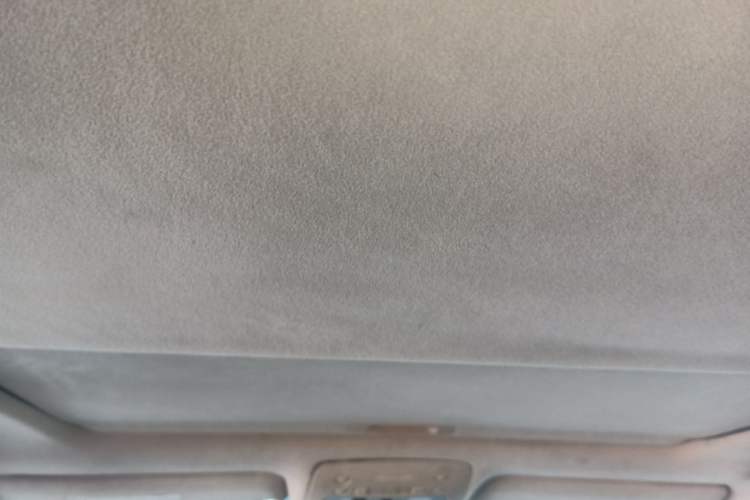 Used Lexus GS 2008 300 Headliner