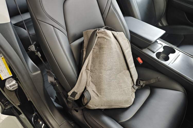 Used Tesla Model 3 2022 Rear-Wheel-Drive Version