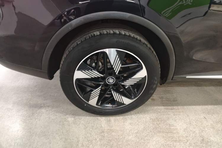 Used BYD Tang New Energy 2023 DM-i Champion Edition 112KM Prestige Model