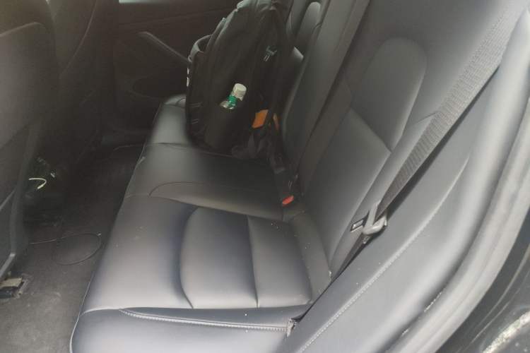 Used Tesla Model 3 2022 Rear-Wheel-Drive Version
