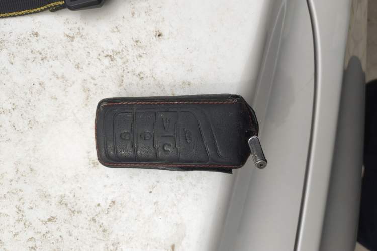 Used GAC Trumpchi GS8 2017 320T Two-Wheel Drive Luxury Smart Connectivity Version (7 Seats)