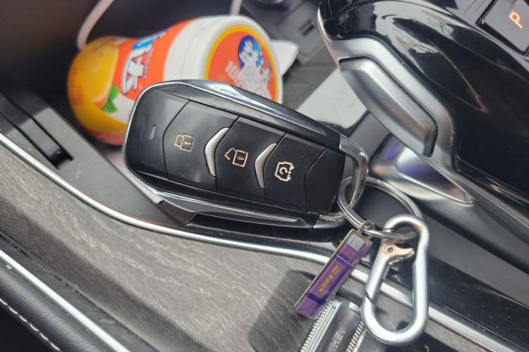 Used Landian E5 2023 1.5L DE-i 100KM Comfort Edition 7-Seater Vehicle Key