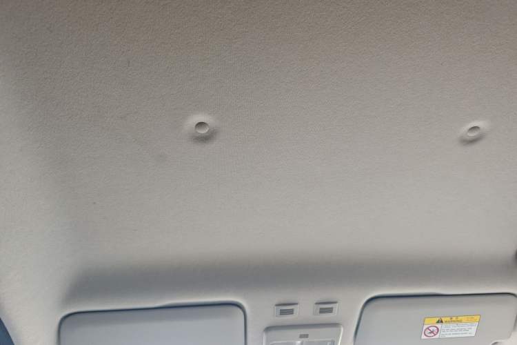 Used ORA Black Cat 2019 310km Fun Edition Headliner