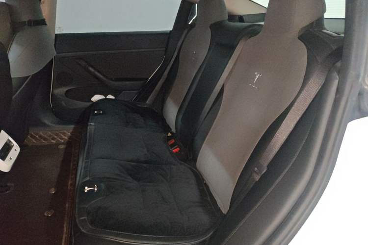 Used Tesla Model 3 2022 Rear-Wheel-Drive Version