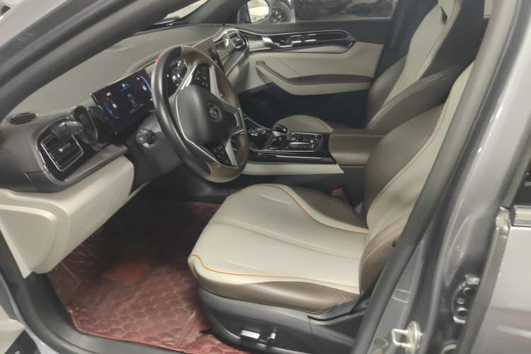 Used BYD Qin PLUS 2023 Champion Edition EV 510KM Beyond Model Left Front Seat