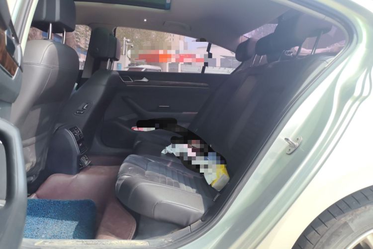 Used Volkswagen Magotan 2018 330TSI DSG Luxury Model Left Rear Seat