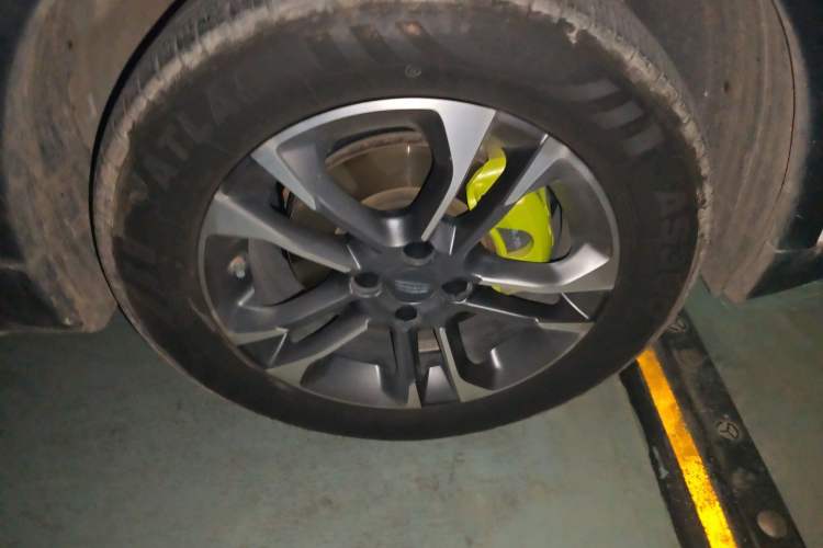 Used Geometry EX3 Kung Fu Cow 2021 Kungfu NiuNiu
