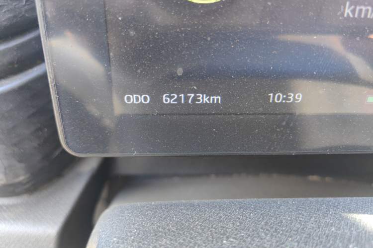 Used SOL E10X 2022 Flower Fairy Design Four-Leaf Clover Odometer Close Up