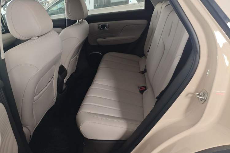 Used AION UT 2025 420 Smart Edition Left Rear Seat