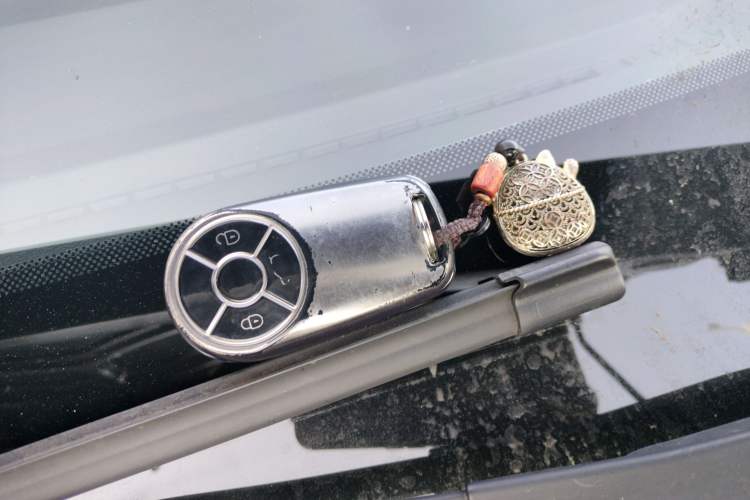 Used ORA Good Cat GT 2022 Mulan Edition 480km Long-Range续航